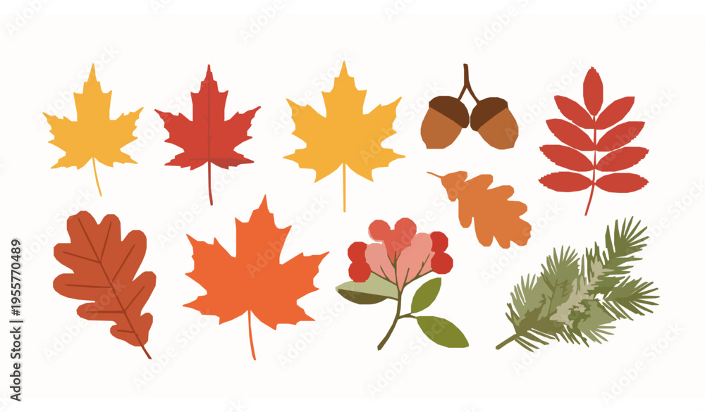 Fototapeta premium Autumn Leaves Collection Flat Vector Set with Maple Leaf Acorn Berries and Spruce Branch Illustration