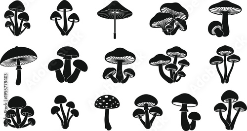 Mushroom silhouette vector set with various wild fungi shapes, botanical illustration collection, black forest toadstool icons isolated on white background design.