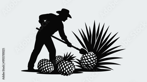 Detailed silhouette of a farmer harvesting agave plants, illustrating traditional agricultural practices and sustainable cultivation