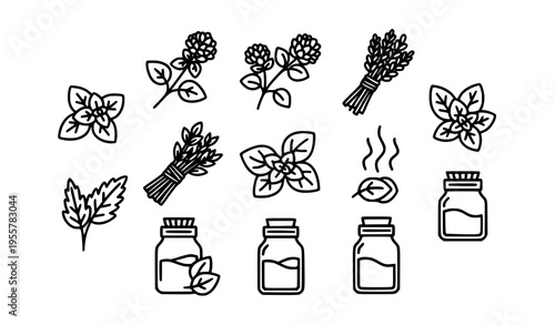 Oregano herb icon collection with bold outline cooking spice and aroma symbols in circular arrangement isolated on white