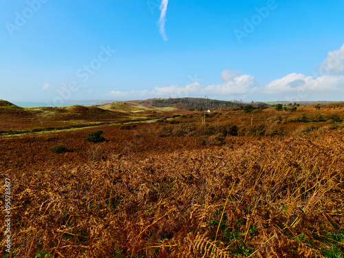 Wallpaper Mural A brown and green autumn landscape with low hills and a clear blue sky. Torontodigital.ca