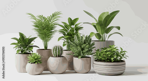 Collection of various potted houseplants arranged in a clean, minimalist indoor setting
