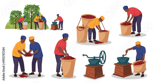 Diverse scenes of workers harvesting and processing coffee beans using traditional tools and large baskets in a sunny plantation.