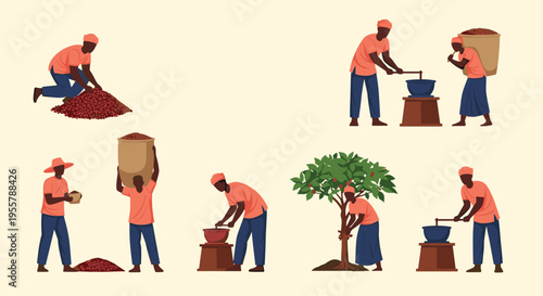 Group of African farmers engaged in various stages of harvesting and processing crops like coffee or cocoa beans in the field.