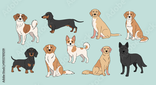 Diverse collection of different dog breeds including Labrador, Dachshund, and Shepherd sitting and standing in a grid arrangement.