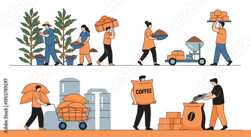 Detailed illustration shows the various stages of coffee production including harvesting beans, drying, milling, and bagging.