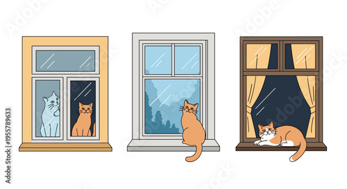 Three adorable cats peering curiously out of different styles of windows at various times of the day against a white background.