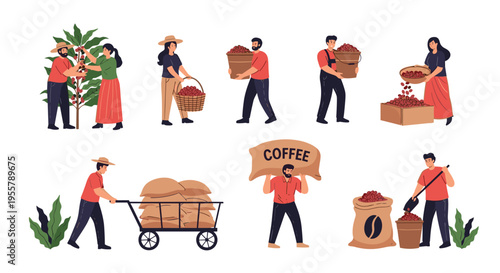 Set of illustrations showing farmers picking coffee beans, carrying heavy baskets, and transporting bags on a cart for production.