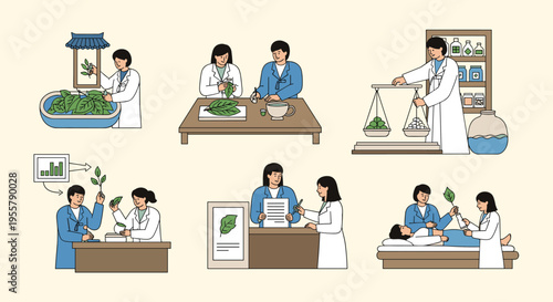 Various stages of traditional herbal medicine preparation including sorting leaves, weighing ingredients, and treating patients in vignettes.