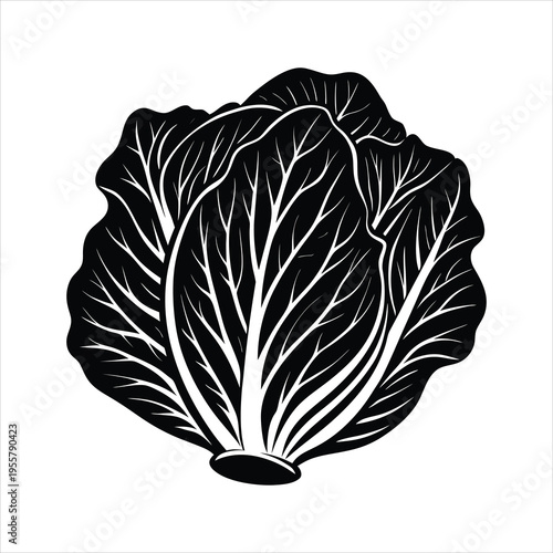 Minimal Napa Cabbage Silhouette Logo Vector