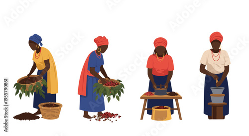African women working together to harvest, sift, and grind coffee beans in a traditional agricultural setting for coffee production.