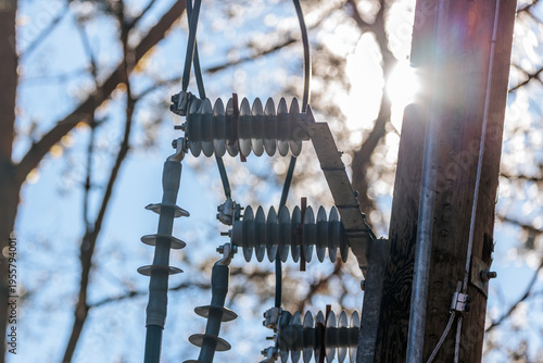 Canvas-taulu Electrical insulators mounted on a wooden utility pole with sunlight filtering t