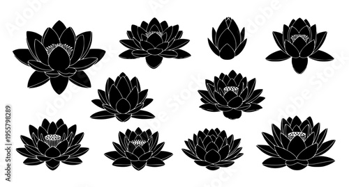 Water Lily Silhouette Icon Set Lotus Flower Vector Illustration