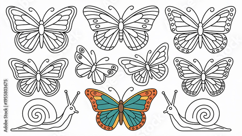 Various butterflies and snails in outline and color butterfly insect