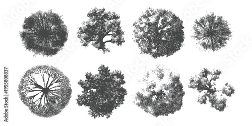 Set of top view trees for architectural landscape design plan vector illustration in sketch style