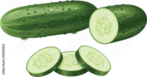 Fresh cucumber whole and sliced with water droplets realistic green vegetable healthy food vector illustration isolated