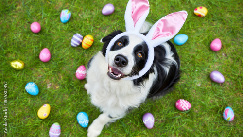 Dog wearing bunny ears among colorful Easter eggs on grass, holiday pet photography, playful canine celebration, festive animal attire, joyful springtime outdoor activity