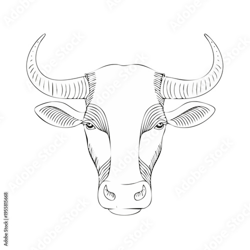 Line art illustration of a powerful water buffalo head with large curved horns and detailed facial features