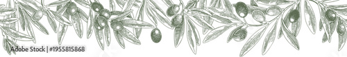 Drawing green purple olives branch border. Hand drawn floral illustration olive fruit, tree branches, leaves isolated background frame green. Drawings food. Edible foliage. For menu wrapping card gift