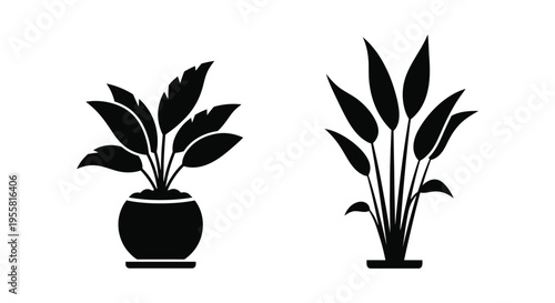 Two stylized black silhouettes of potted plants with broad leaves