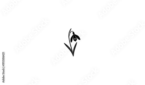 Snowdrop Flower Silhouette Spring Botanical Vector Illustration