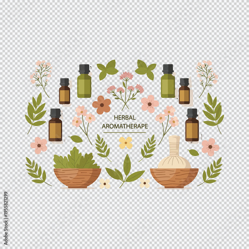 Set of herbal aromatherapy vector illustrations
