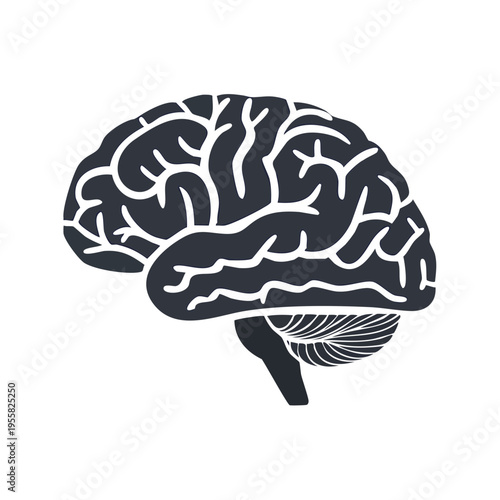 Stylized silhouette of a human brain with detailed convolutions and cerebellum