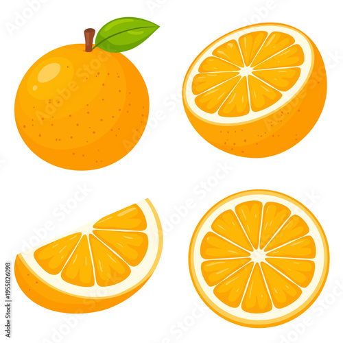Orange fruit flat vector illustration set: whole, half, slice, and cross-section