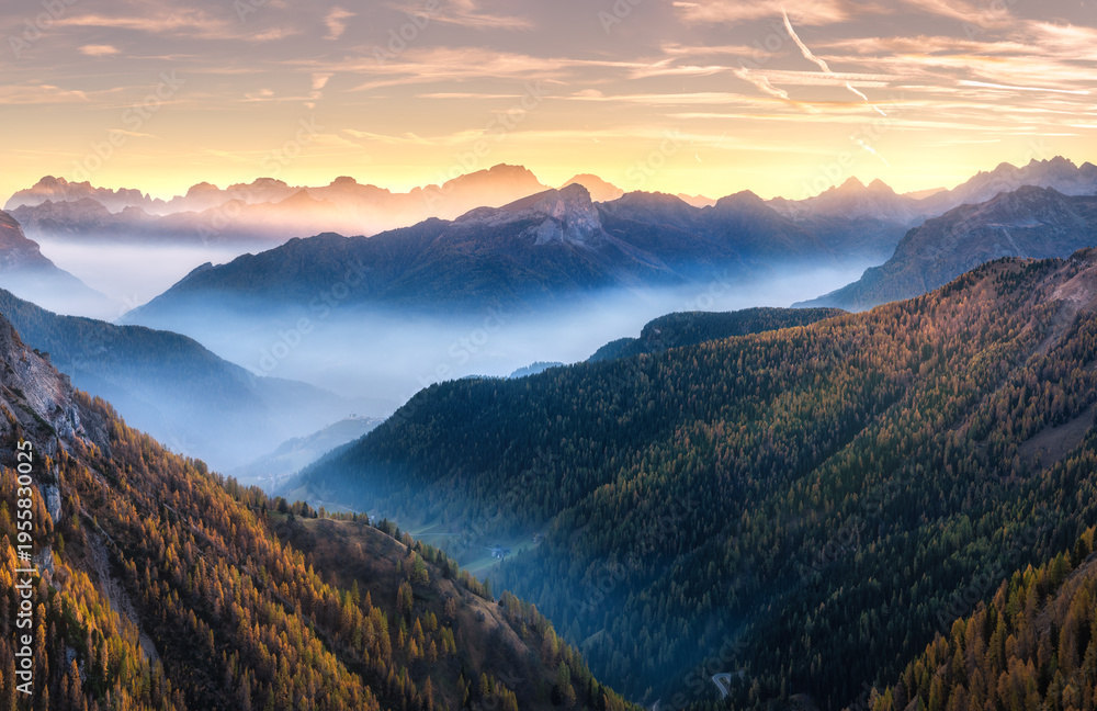 Fototapeta premium Mountains in low clouds at sunset in autumn in Dolomites, Italy. Landscape with misty alpine mountains, orange trees in fall, colorful sky with golden sunbeams. Aerial. Panorama. Italian Alps in fog