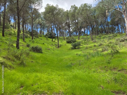 Ruta de senderismo en el Sierra Morena, Andujar
