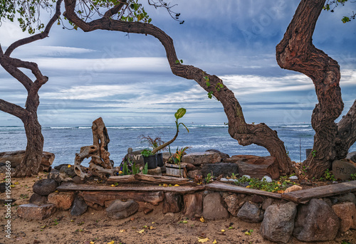Bilde på lerret Rainy weather at a Beach with Plants and Trees in Hawaii.