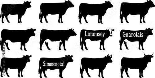 cow silhouettes
