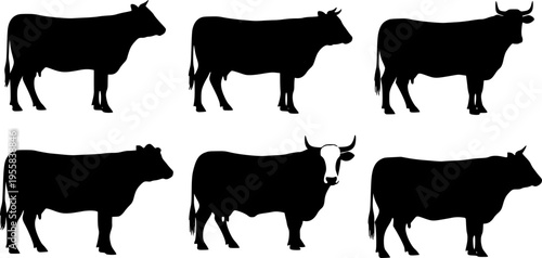 cow silhouettes
