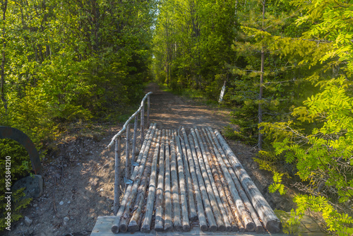 Russia. Karelia. A wooden bridge on a hiking trail