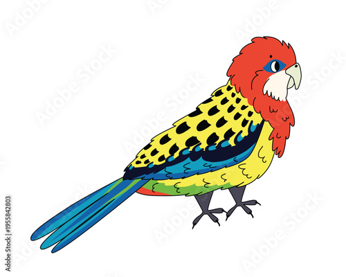 Colorful Australian rosella parrot cartoon isolated on white background. Vector illustration
