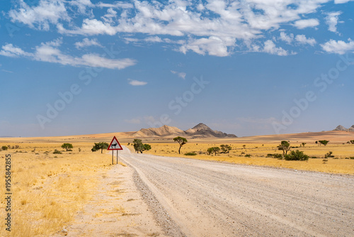 Quadro su tela Namibia Roadtrip