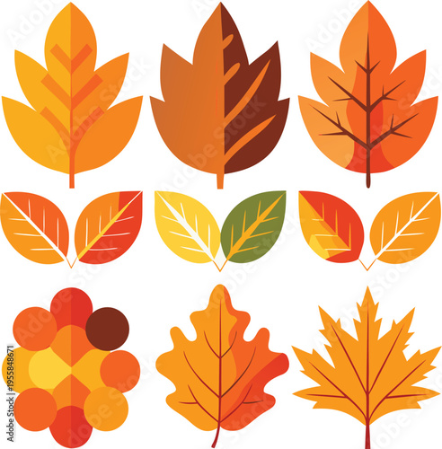 Collection of colorful autumn leaves and berries on white background