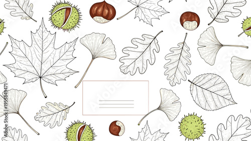 Autumn themed background featuring hand drawn sketches of various leaves and chestnuts arranged around central white frame for text.