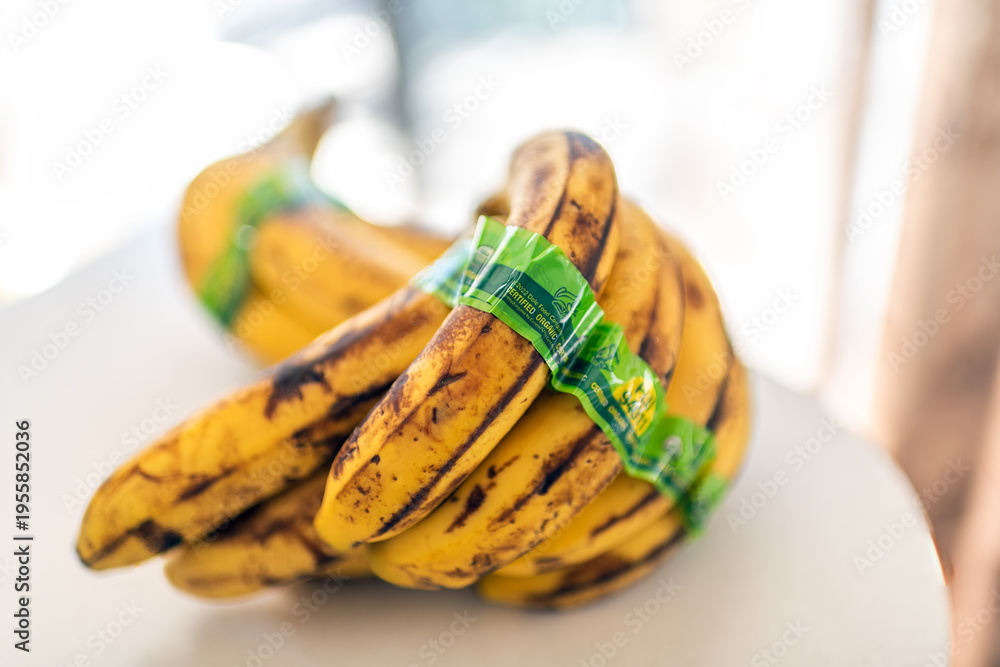 Naklejka premium Roseland, USA - March 21, 2025: Yellow ripe banana, bananas bunch by Dole brand company on home kitchen white table organic usda certified
