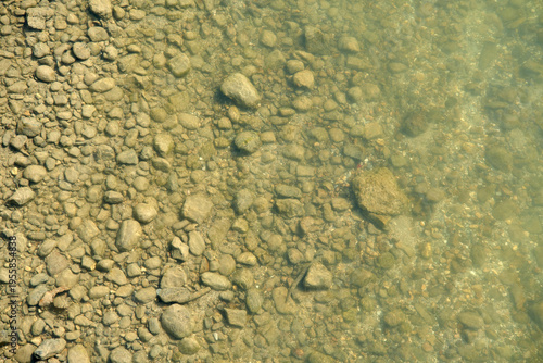 Fotografie Top view of river stones and pebbles under clear shallow water