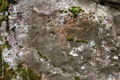 Obraz na płótnie Rough stone surface with patches of green moss and white lichen, natural rock te