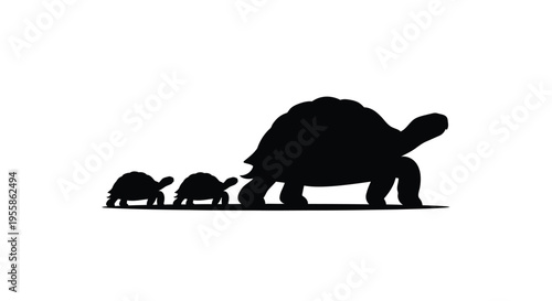 A family of tortoises walks slowly across a white background silhouette