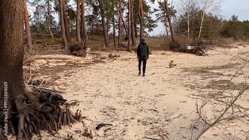 Rear view of man walking on sandy ground in pine forest, spring cloudy day, trees and logs in background. overcast weather. Loneliness and mindful walk 