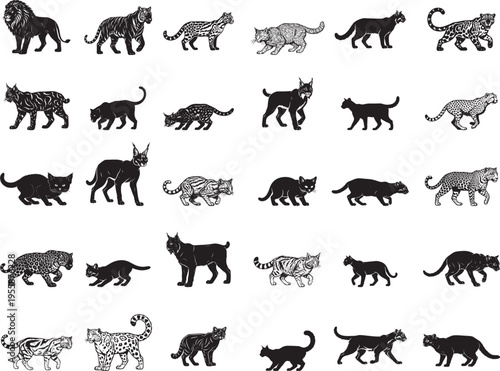 Wild Cat Species Collection Diverse Feline Silhouettes