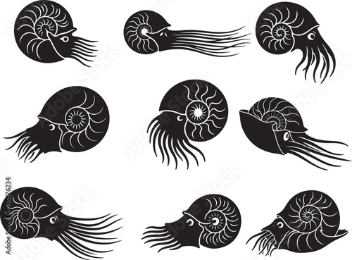 Chambered Nautilus Spiral Shell Marine Silhouette