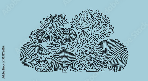 Coral Reef Marine Life Illustration.