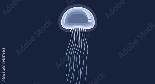 Transparent jellyfish in dark water.