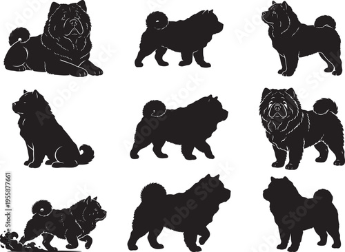 Chow Chow Fluffy Dog Thick Fur Silhouette