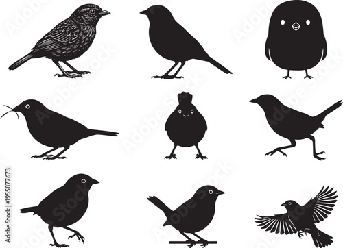 Cisticola Bird Small Grassland Perching Silhouette