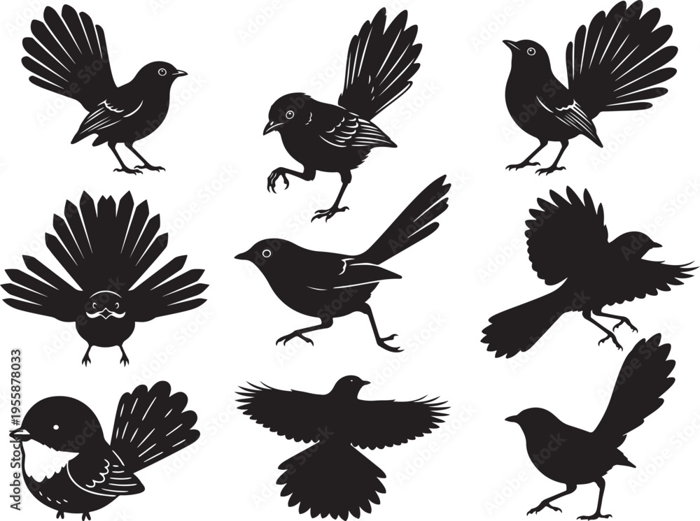 Fototapeta premium Fantail Bird Spread Tail Perched Profile Silhouette